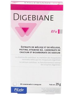Digebiane Rfx 20 comp mast de Pileje