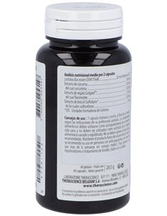 Physiomance Hp 60Cap. de Therascience