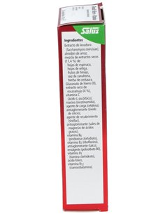 Floradix Hierro 84Comp de Salus