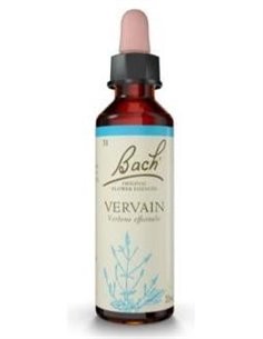 (31) Vervain  de Bach