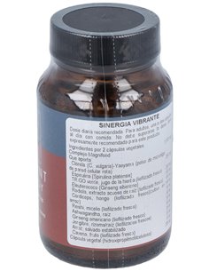 Sinergia Vibrante 50 Vcáps de Terranova