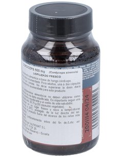 Córdiceps 500 Mg (Cordyceps Sinensis)  50 Vcáps de Terranova