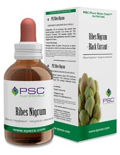 Psc Ribes Nigrum 15Ml. de Forza Vitale