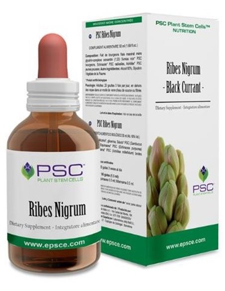 Psc Ribes Nigrum 15Ml. de Forza Vitale