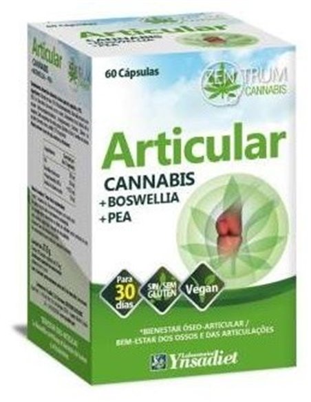 Articular 60 Caps. V de Ynsadiet