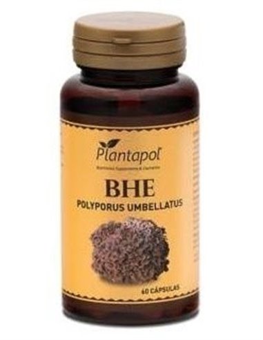 Bhe Polyporus + Escaramujo 60Cap. de Plantapol