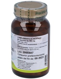 Agaricus Blazei 60Cap. de Cfn