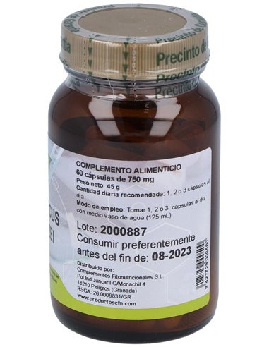 Agaricus Blazei 60Cap. de Cfn