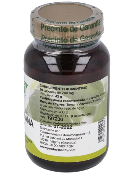 Guanaba (Graviola) 60Cap. de Cfn