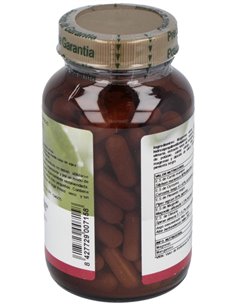 Multidetox Ph 90Cap. de Cfn