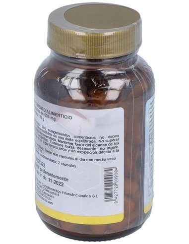 Bifidusflora 5000 (Probiotic) 60Vcaps de Cfn