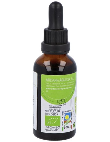 Ext Llanten Eco S/Alc Plantis de Artesania