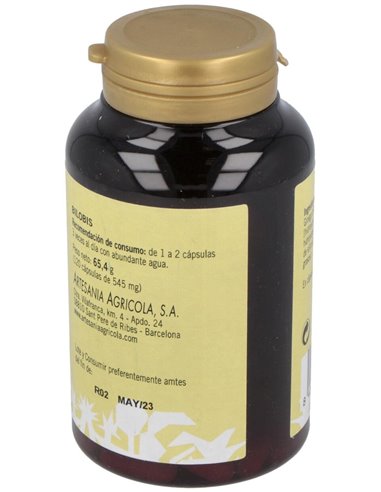 Bilobis Plantis (Ext.Seco Ginkgo Biloba) 120Cap. de Artesania