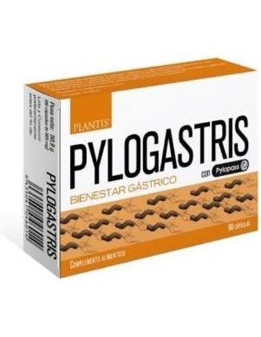 Pylogastris 90Cap. de Artesania