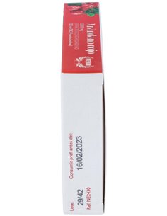 Arandano Rojo (Ext Seco 120 Proantocianidas) 30Cap de Nature Essential