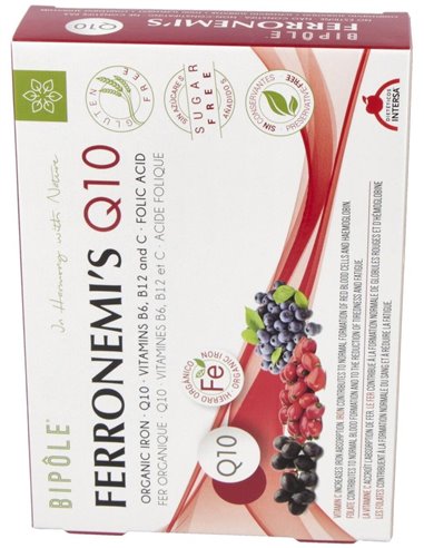 Bipole Ferronemi S Q10 (Annemi S) 20Amp. de Bipole