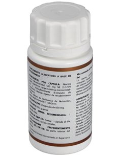 Holovit Nicotinamida 500Mg. 50Cap. de Equisalud