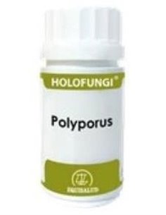 Holofungi Polyporus 180Cap. de Equisalud