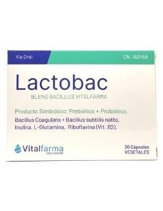 Lactobac 30Cap. de Vitalfarma