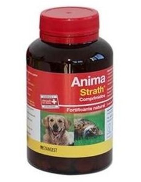 Anima Strath Perros Y Gatos 240Comp. de Stangest Vet