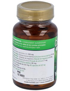 Desmodium 60Cap. de Vital 2000