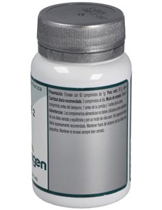 Base 2 60Comp. de Erlingen