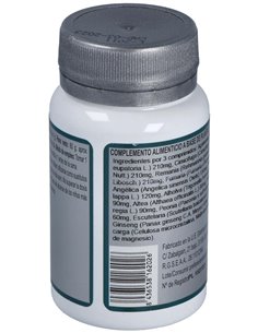 Base 2E 60Comp. de Erlingen