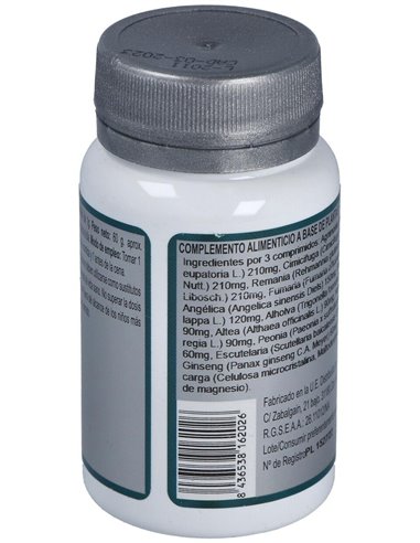 Base 2E 60Comp. de Erlingen