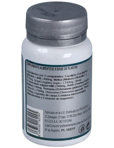 Base 5 60Comp. de Erlingen