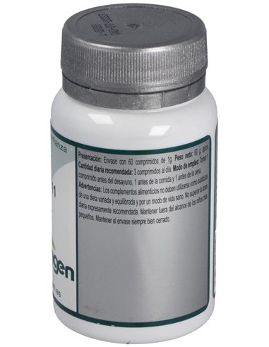 Base 11 60Comp. de Erlingen