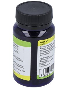 Aceite De Oregano 60Perles de Alfa Herbal