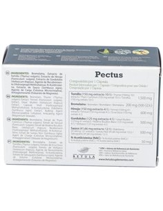 Pectus 30Cap. de Betula