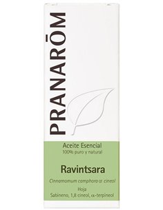 Ravintsara Hoja 10 Ml de Pranarom Aceites