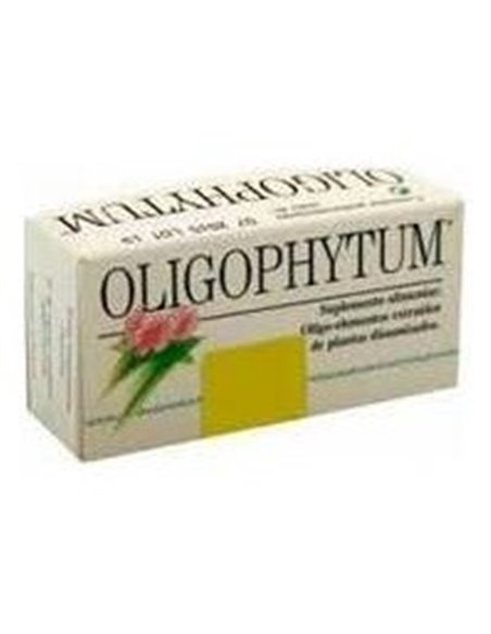 Oligophytum Cobalto de Holistica