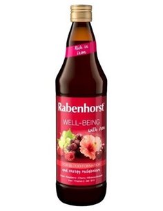 Zumo Well-Being 750 Mililitros Rabenhorst