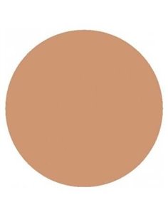 Corrector En Barra Beige 4,5Gr. Vegano de Benecos