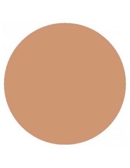 Corrector En Barra Beige 4,5Gr. Vegano de Benecos