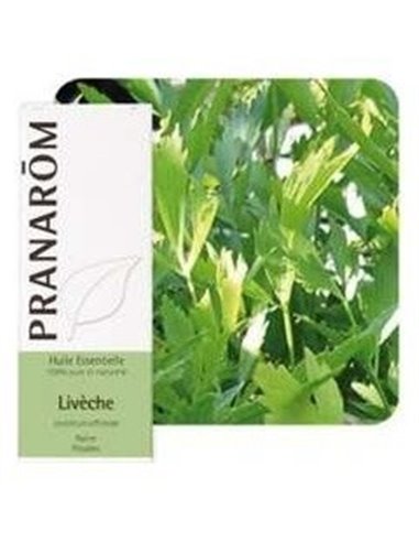 Levistico Aceite Esencial 5Ml. de Pranarom Aceites