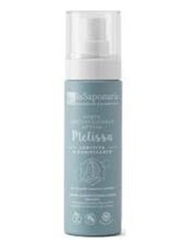 Agua Activa Calmante Melisa 50 Ml de La Saponaria