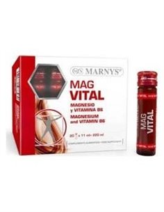 Magvital 20Viales de Marnys