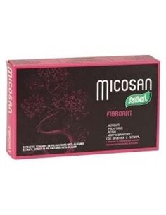 Micosan Fibroart 40Cap. de Santiveri