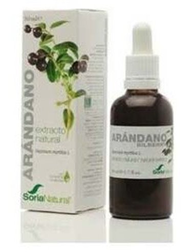 Ext. Arandano Xxi 50Ml. S/Al de Soria Natural