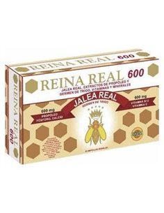 Reina Real 600Mg. 20Amp. de Robis