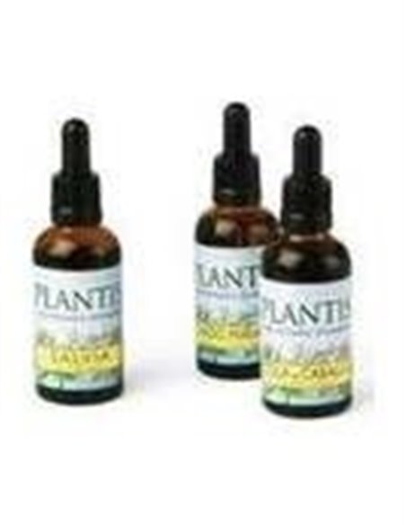 Extracto Gayuba Plantis 50 Ml de Artesania