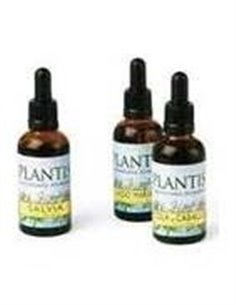 Ext.Ginkgo Biloba 50Ml Maese Herbario de Artesania