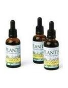 Ext.Manzanilla 50Ml Maese Herbario de Artesania