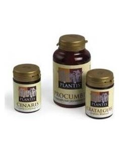 Cinaris (Alcachofa) Plantis 60Cap. de Artesania