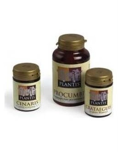 Cinaris (Alcachofa) Plantis 60Cap. de Artesania