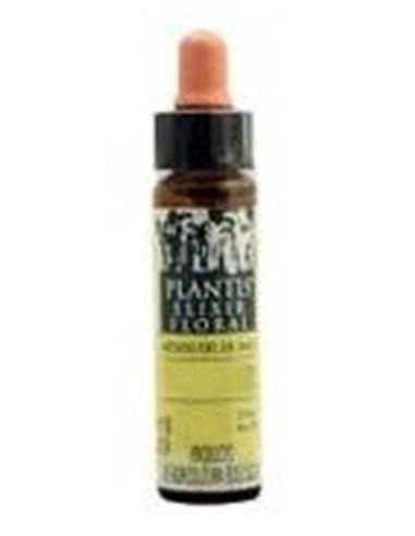 Castaño Indias-35 Eco 10 Ml de Artesania