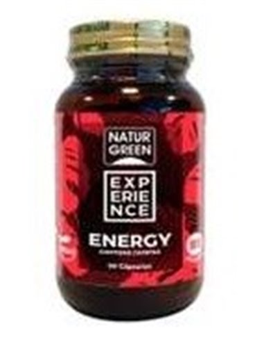 Experience Energy 90Cap. Bio de Naturgreen
